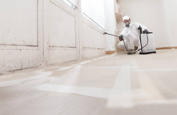 24/7 Emergency Mold Inspection experts in Jackson, KY